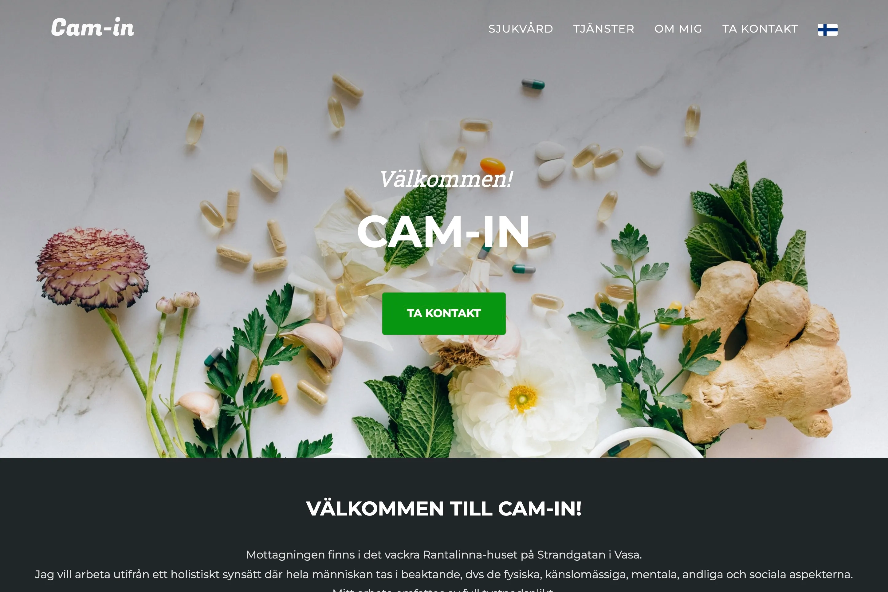 Skärmdump av Cam-in
